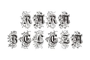Bring Vintage Charm to Your Creations with Rara Beleza