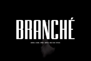 Choosing the Right Font: Why Branche Works for Modern Web Design