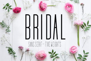 How Bridal Font Elevated My Campaign Design Process